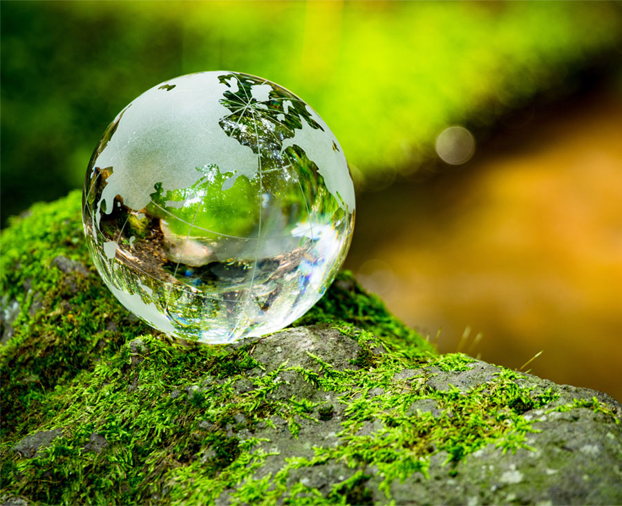 collabourrative business solutions